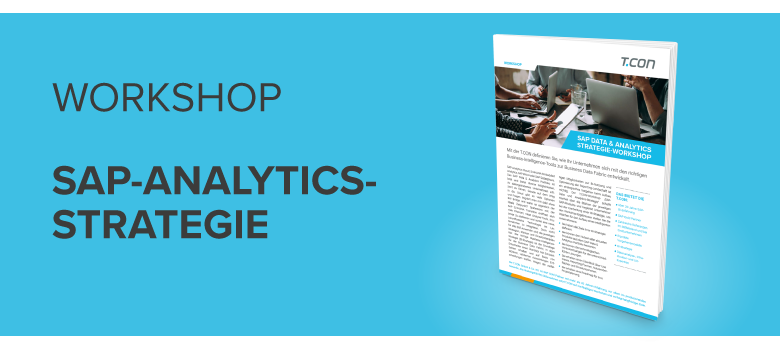 Download Workshopangebot SAP-Analytics-Strategie