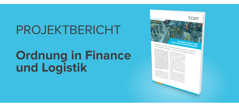 Download Projektbericht Ordnung in Finance und Logistik