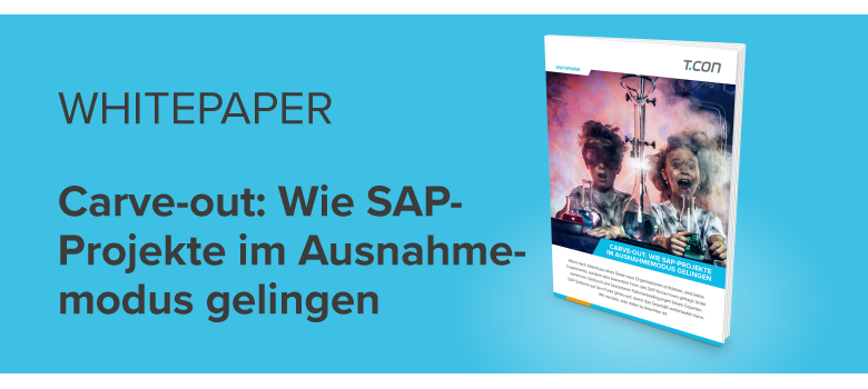Whitepaper Schritte zu SAP Fiori